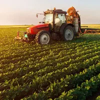 زمین کشاورزی اجاره داده میشود ملاحسن و قره مصلی