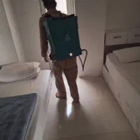 سم پاشی ساختمان|خدمات نظافت|بندر کنگان, |دیوار