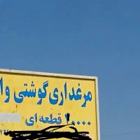 کارگر برای مرغداری گوشتی