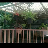 خوابگاه دخترانه، اقامتگاه ، پانسیون