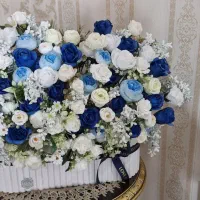 گل باکسی. نونو