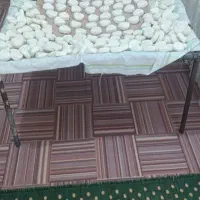 کشک|خوردنی و آشامیدنی|خرمآباد, |دیوار