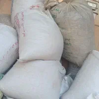 ک و د مرغ|گل و گیاه طبیعی|برازجان, |دیوار