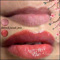 خدمات تخصصی شیدینگ لب|خدمات آرایشگری و زیبایی|مینودشت, |دیوار