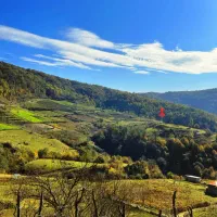 فروش فوری زمین1000متری  تو ساری منطقه دودانگه|فروش زمین و ملک کلنگی|فریم, |دیوار