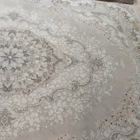 دو تخته فرش 12متری در حدنو|فرش|پاکدشت, پاکدشت (مامازند)|دیوار