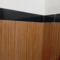 وستاکاشی کاری