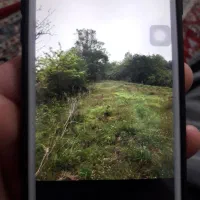 ۱۰۰۰ متر زمین کشاورزی با مدرک ۱۰۰ متر تا جاده