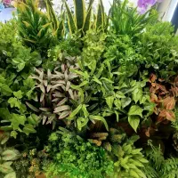 تهران،گرین وال ، فلاور باکس ،|گل مصنوعی|تهران, میدان ولیعصر|دیوار