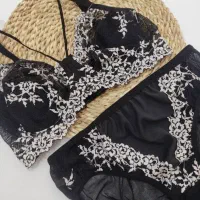 ست جذاب سوتین و شورت گلدوزی