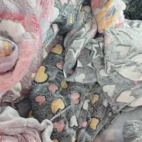 حراج پتو شبنما