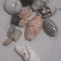 چند سدف  کلکسیونی یک سنگ آسیاب وچند مهره قدیمی|کلکسیون اشیاء عتیقه|دزفول, |دیوار