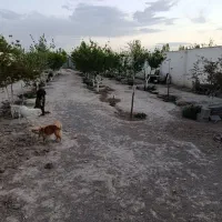 معاوضه با کمپرسی ۶تن