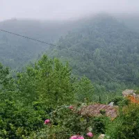 اجاره روزانه/هفتگی/ماهانه سالانه ۱۵۰متری|اجارهٔ کوتاه‌مدت ویلا و باغ|ماسال, |دیوار