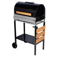 باربیکیو گازی زغالی گریل دار