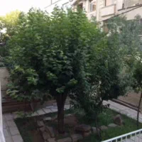 شمال جردن ۲۰۰ متر واحد با ۲۰۰ متر قدرالسهم ارزنده