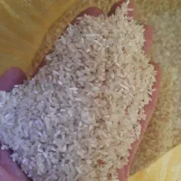 برنج فجر خوش پخت وعالی در خدمتم|خوردنی و آشامیدنی|انبارآلوم, |دیوار