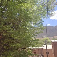مزائده ملک مسکونی در اجرای احکام نجف آباد