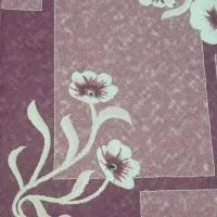 فرش تمیز