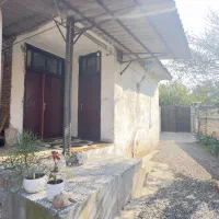 ویلا باغ ۲۵۰متری سند دار بافت|فروش خانه و ویلا|دابودشت, |دیوار