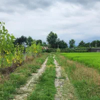 فروش زمین /مزرعه ۸۲۰۰ /مترمربع/ خاصه سرا/جماکو