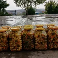 ترشی های خانگی تازه