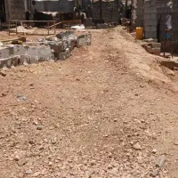 دام زنده گوسفند زنده میش. بره ورندیل