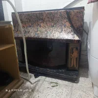 بخاری
