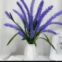 توشک پشمی