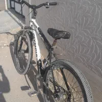 دوچرخه|دوچرخه، اسکیت، اسکوتر|شیراز, بید زرد|دیوار