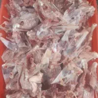 اسکلت مرغ گوشتی (پرگوشت)