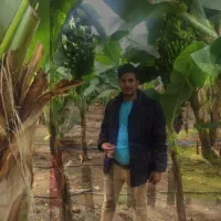 نیازمند نیرو برای گلخانه