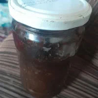 رب گوجه سبز