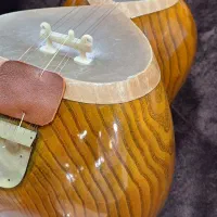 تار کاملا نو بدون استفاده|سازهای سنتی|قائمشهر, |دیوار