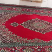 فرش ۶متری|فرش|بوشهر, |دیوار