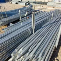 گلخانه|عمدهفروشی|اردبیل, |دیوار