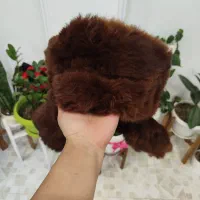 کلاه پشمی|لباس|بندر انزلی, ساحل قو|دیوار