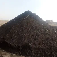 کودو خاک باغچه