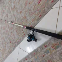 لنسر ماهیگیری