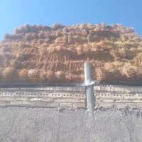 بسته‌بنده‌یونجه