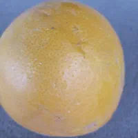 نارنگی درشت پژ