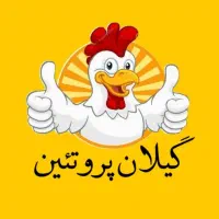 حیوانات سگ گربه اسکلت مرغ