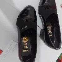 وسایل شخصی|کیف، کفش، کمربند|بندر دیر, |دیوار