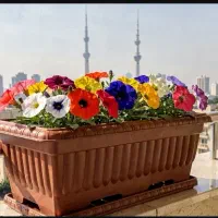 گلدان پلاستیکی سایز بزرگ فلاور باکس