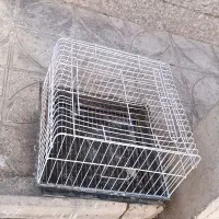 قفس سالم و مرتب
