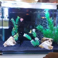 اکواریوم با لوازم کامل