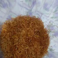 ریشه زعفران