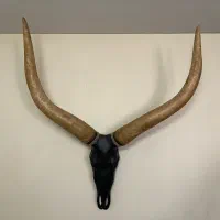 مجسمه دیواری