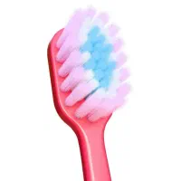 واردات انواع مسواک|عمده‌فروشی|تهران, ایرانشهر|دیوار