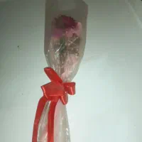 گل و گلدان